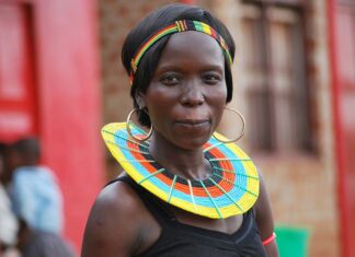 The Best Car Purchase to Help the Environment?